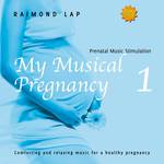 My Musical Pregnancy 1专辑