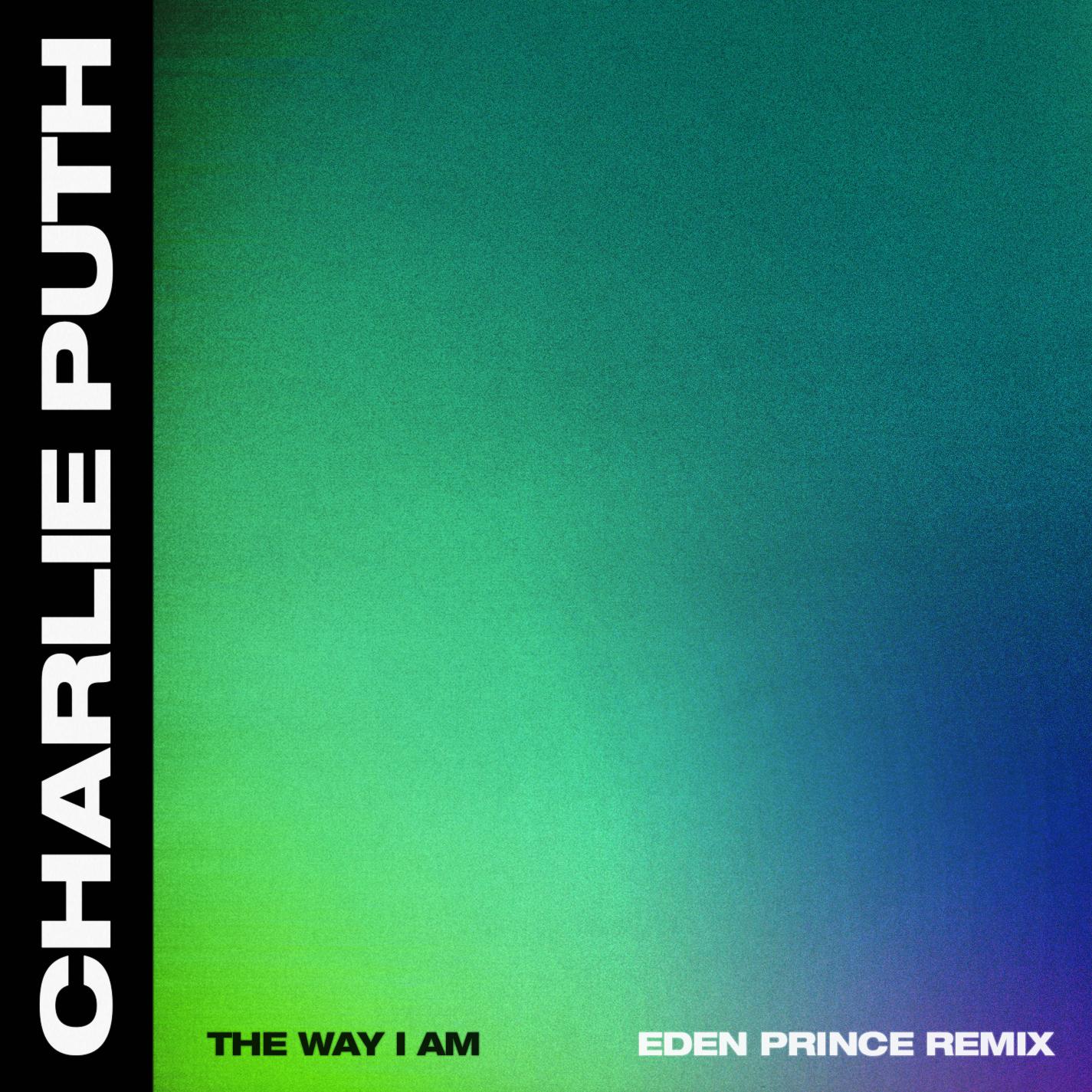 The Way I Am (Eden Prince Remix)专辑