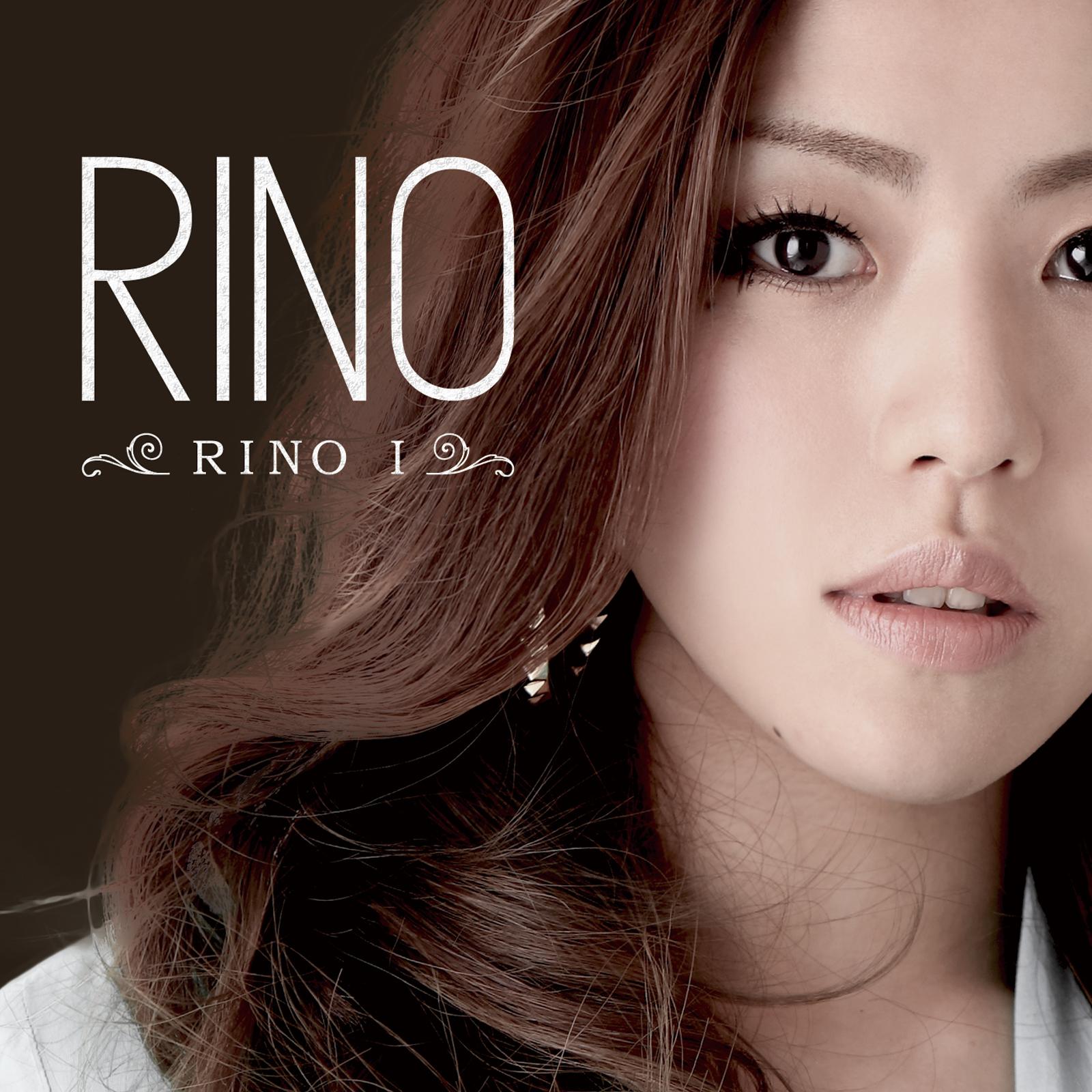 RINO Ⅰ