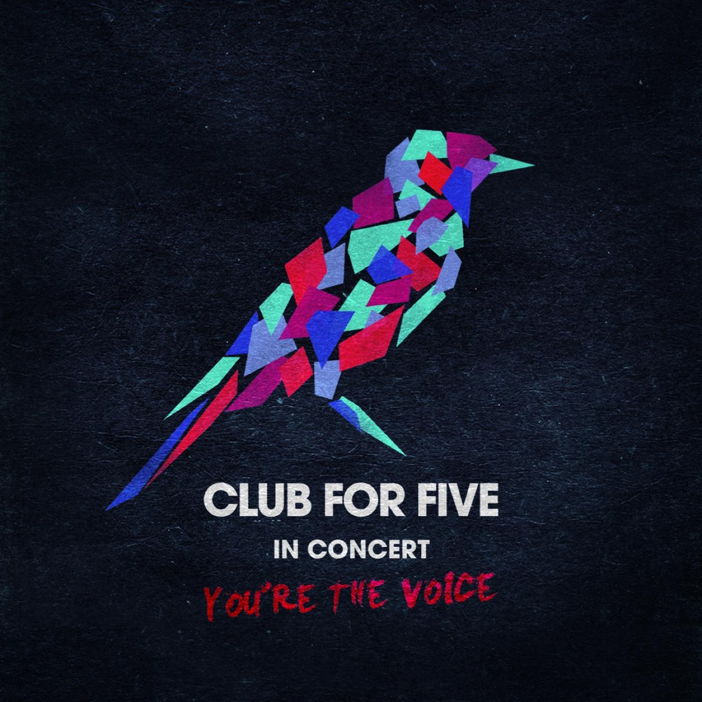 In Concert - You're The Voice