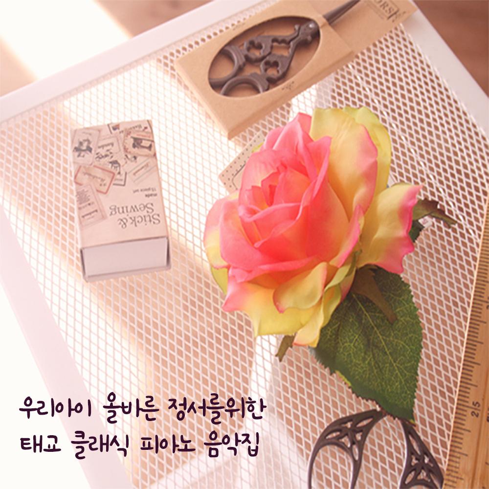 우리아이 올바른 정서를 위한 태교 클래식 피아노 음악집
