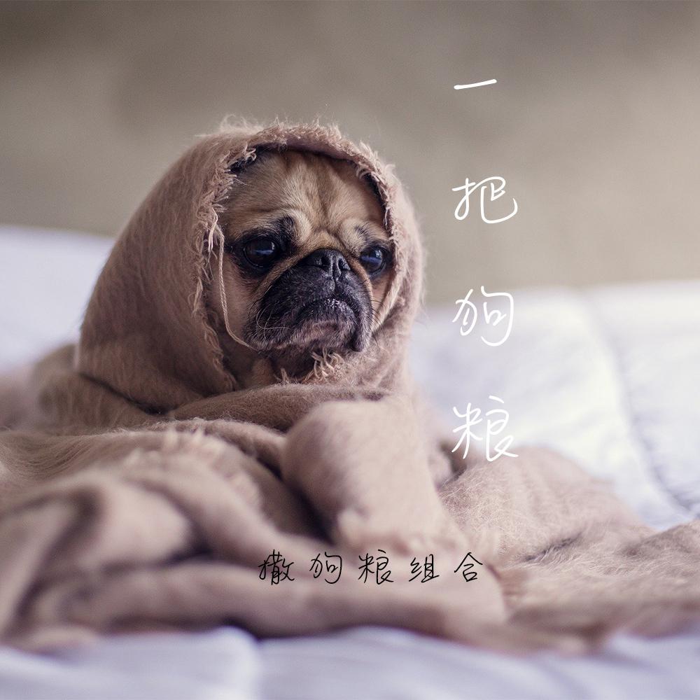 一把狗粮