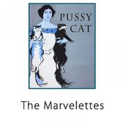 Pussy Cat