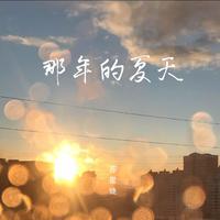 苏星婕 - 那年的夏天 (DJAh版)