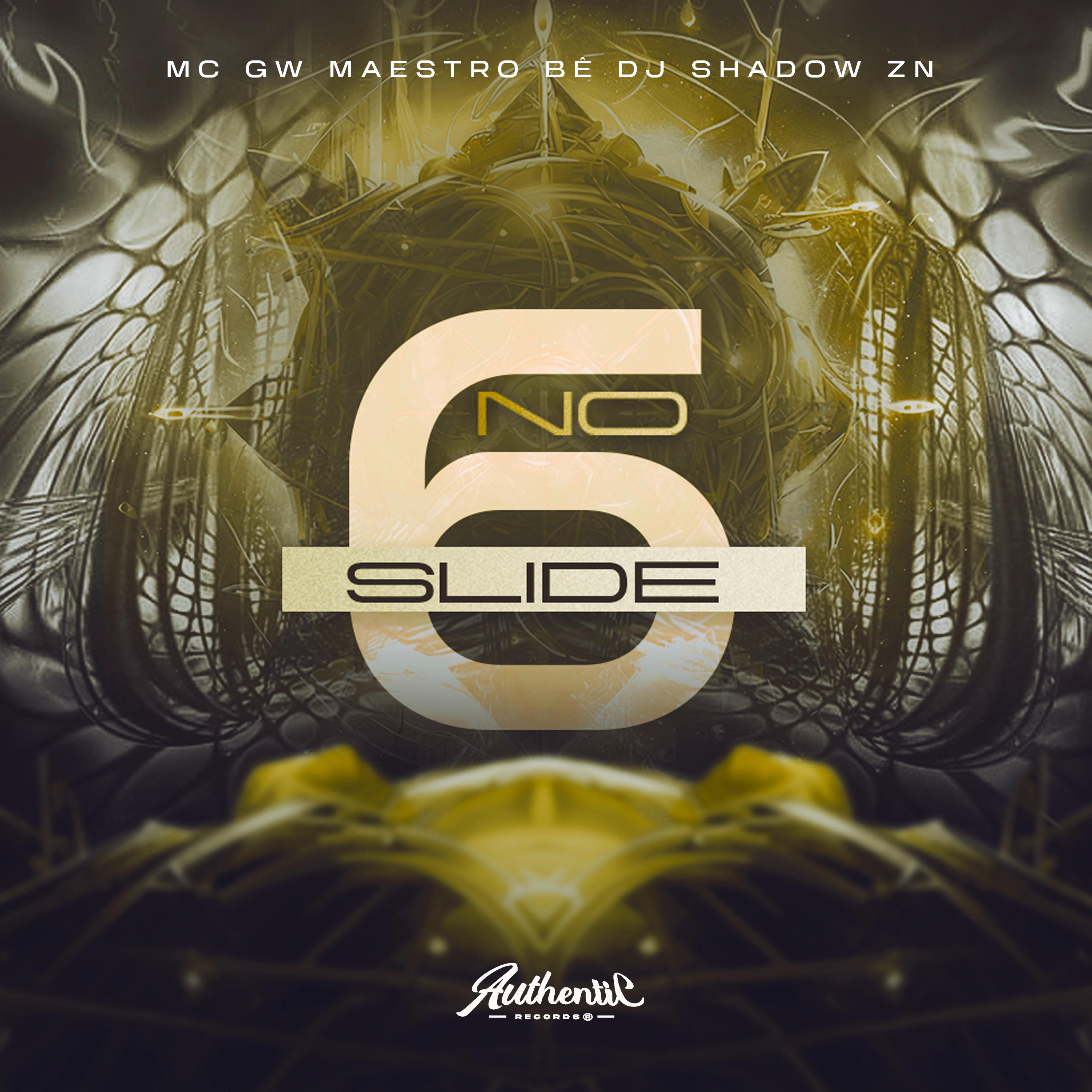 DJ Shadow ZN - No Slide 6