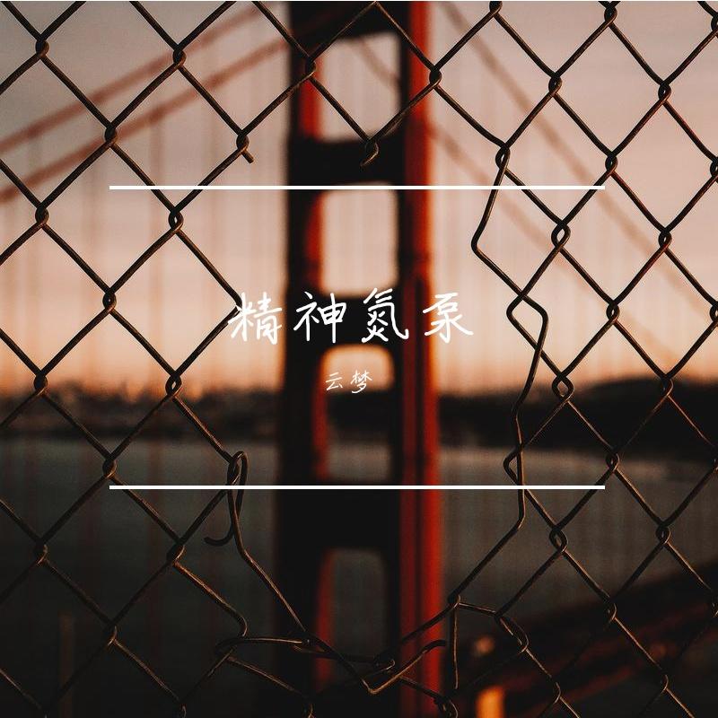 精神氮泵