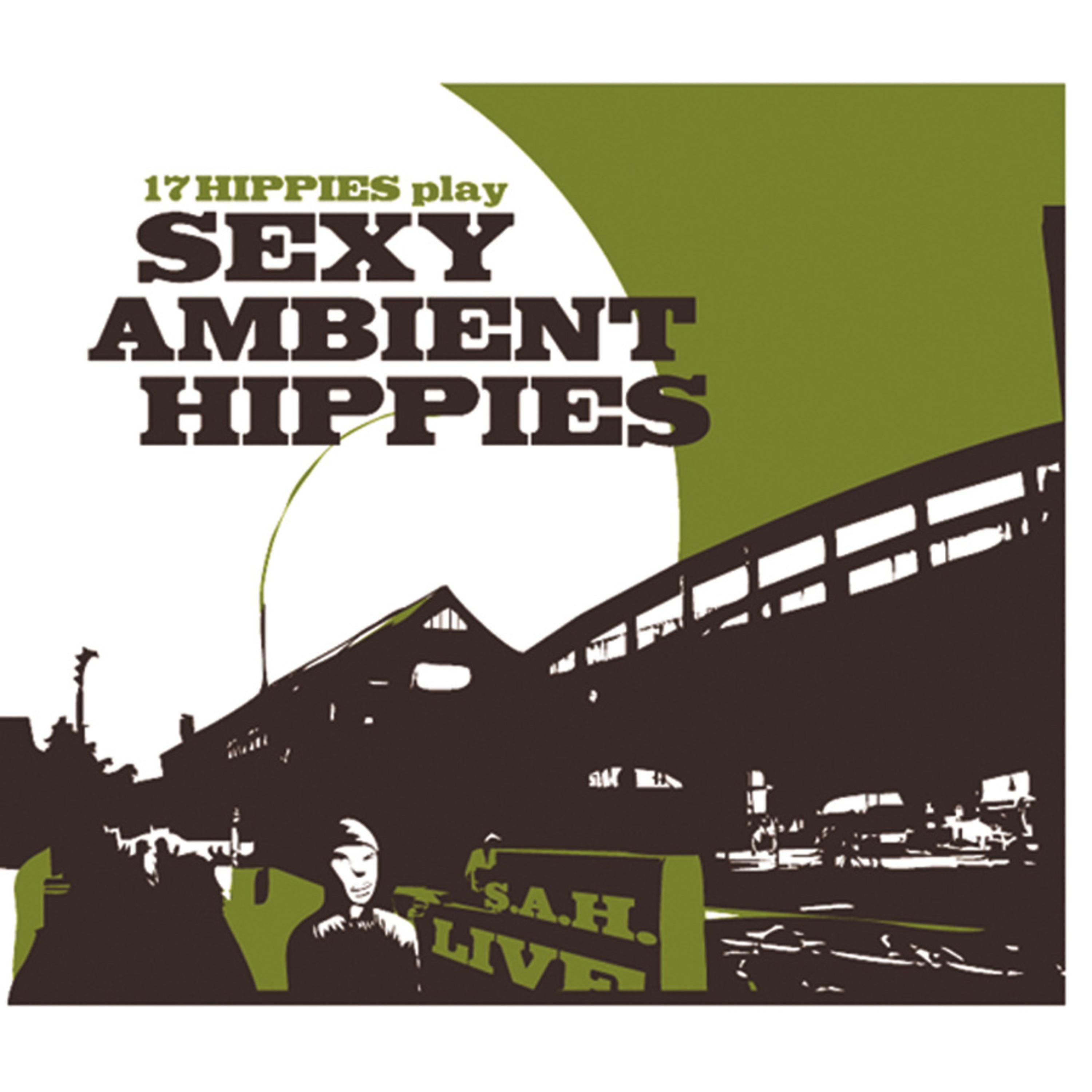 17 Hippies Play **** Ambient Hippies