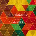 SERENADE(Mashup)专辑