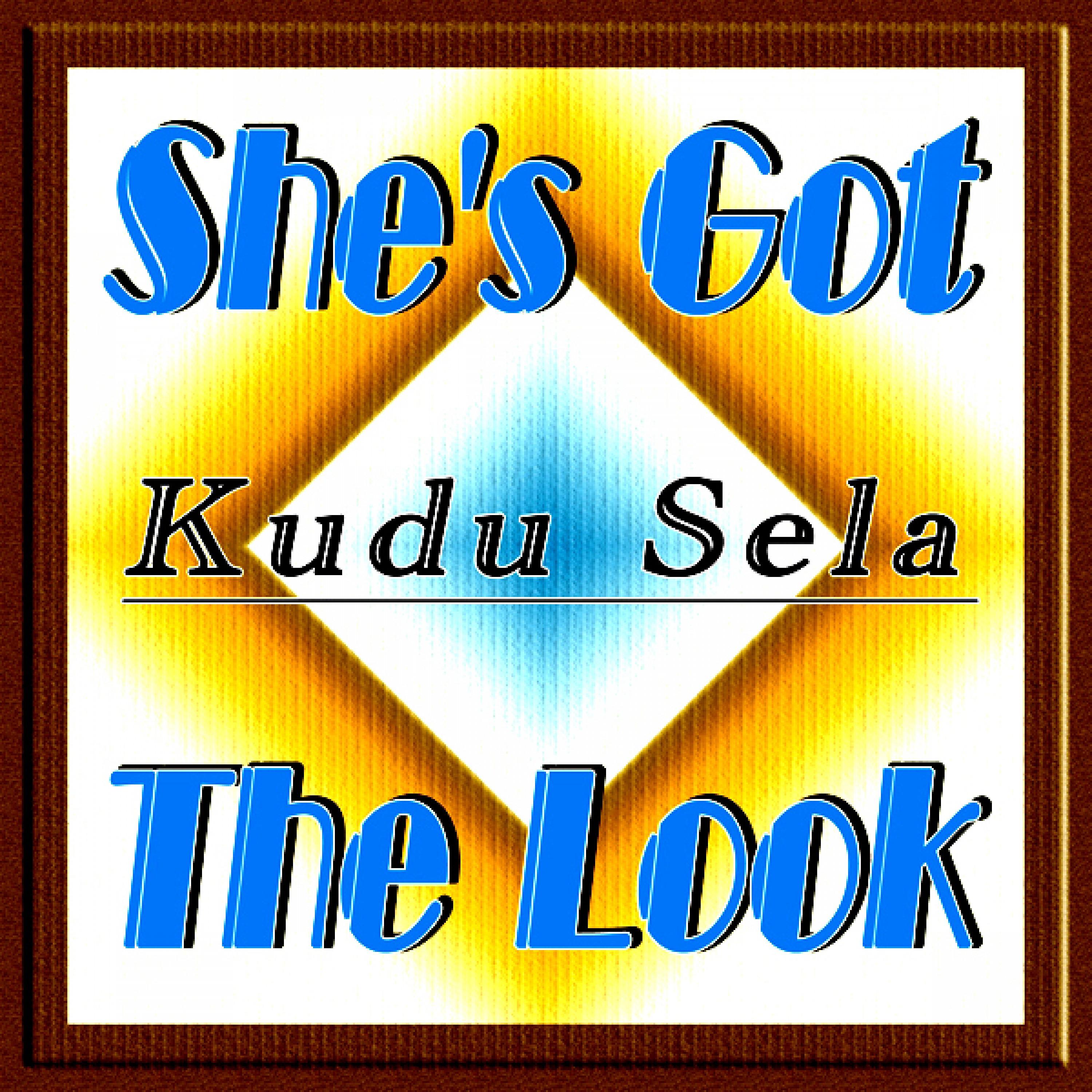 She's Got the Look