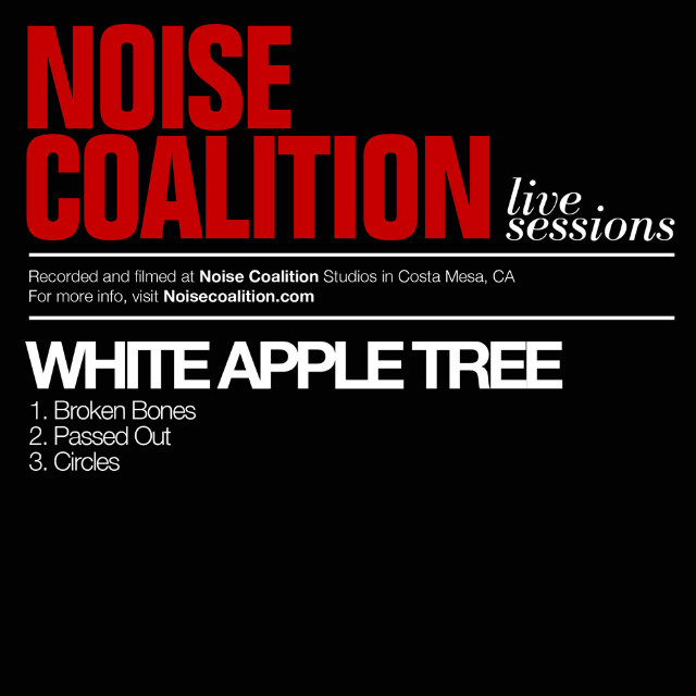 White Apple Tree - Circles