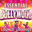 Essential Bollywood Lounge Grooves - The Top 30 Best Bollywood Classics专辑