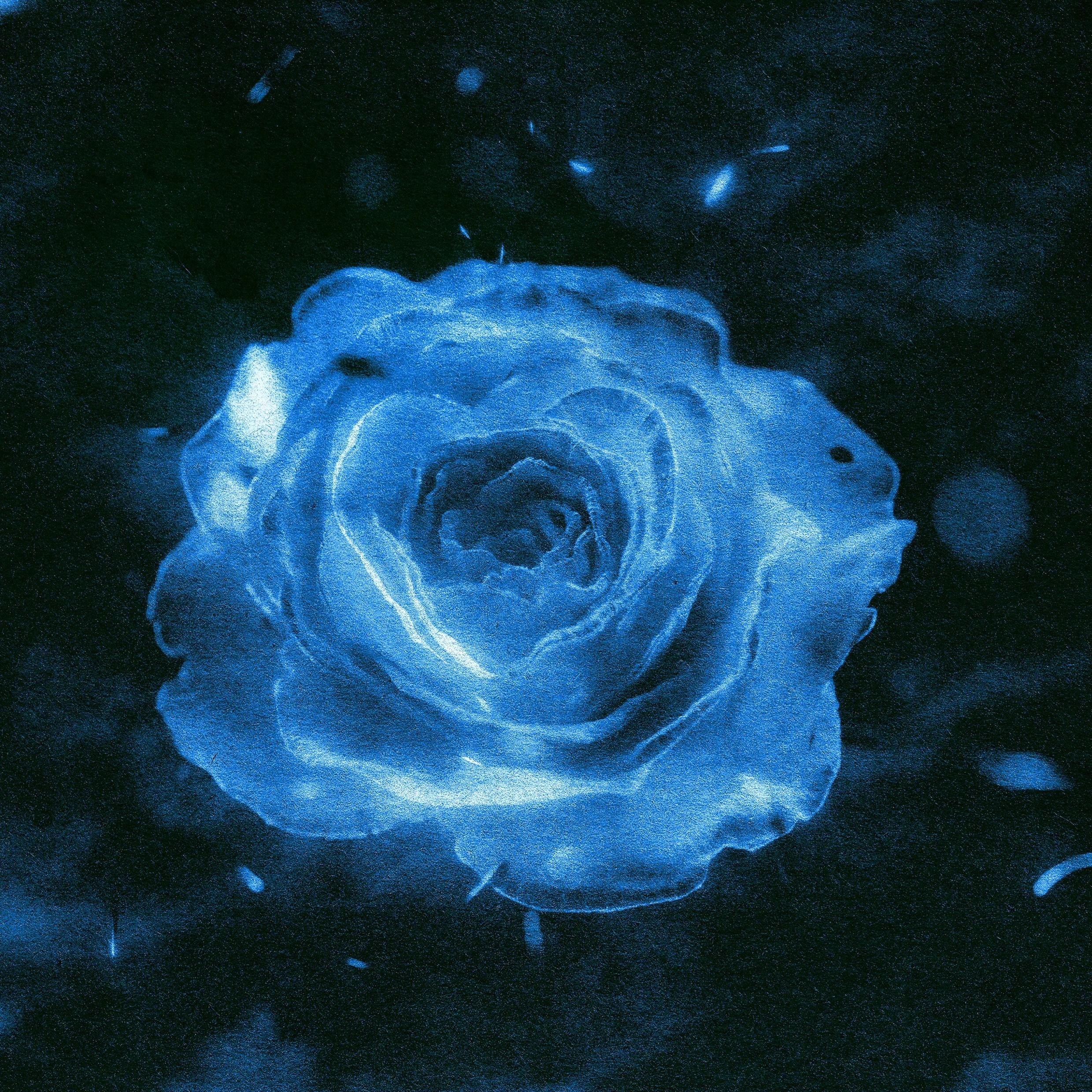 This must be love 张艺兴