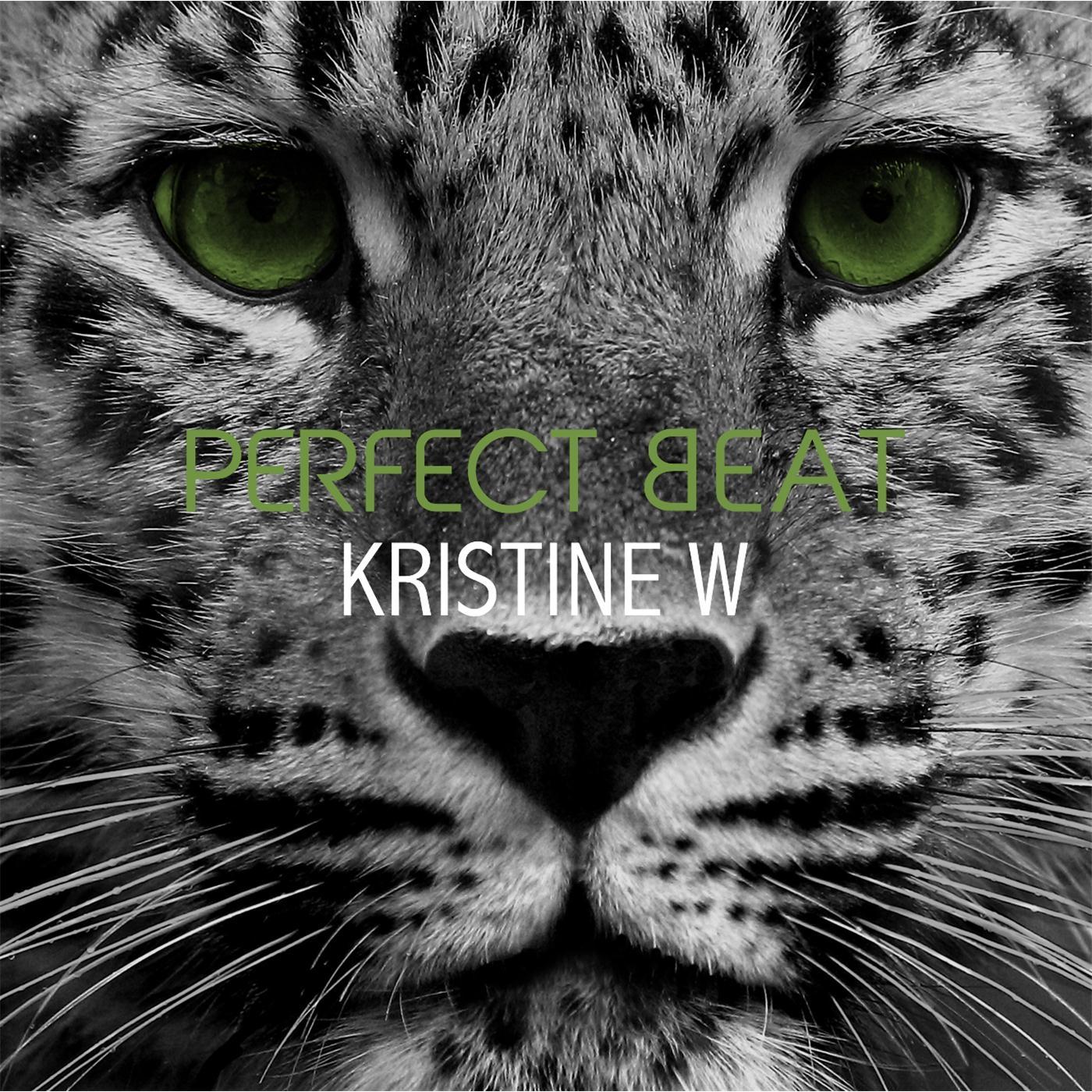 Perfect Beat