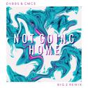 Not Going Home (Big Z Remix)