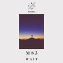 Wait (Kygo Remix)专辑