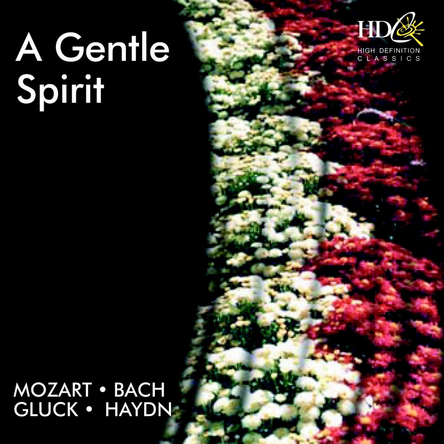 Divertimento No.15 for 2 Horns and Strings in B flat major, K. 287 : II. Andante grazioso