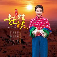 赶牲灵 (王二妮,冯晓泉原版伴奏)