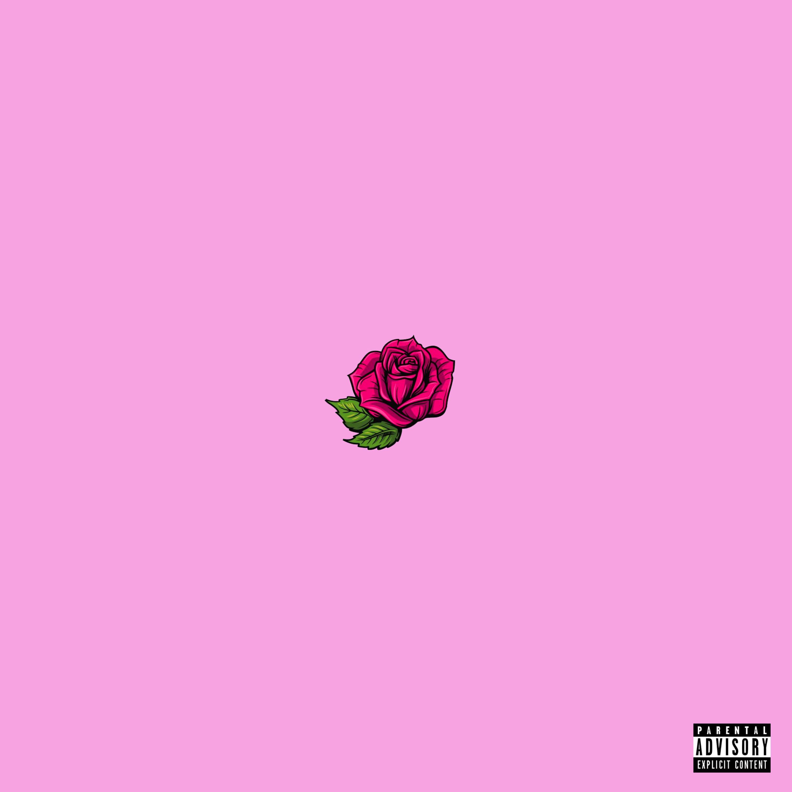 D Rose