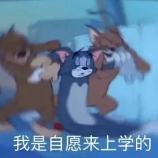 提高学习/工作/睡觉质量的纯音乐（三十一）
