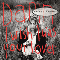 Hawkins Sophie B. - Damn I Wish I Was Your Lover (karaoke)