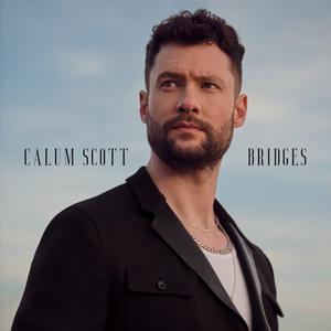 Calum Scott - Boys In The Street (Z karaoke) 带和声伴奏 （降8半音）