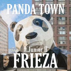 Panda Town prod.ShineLikeVVS