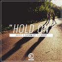 Hold On (Distrion Remix)专辑