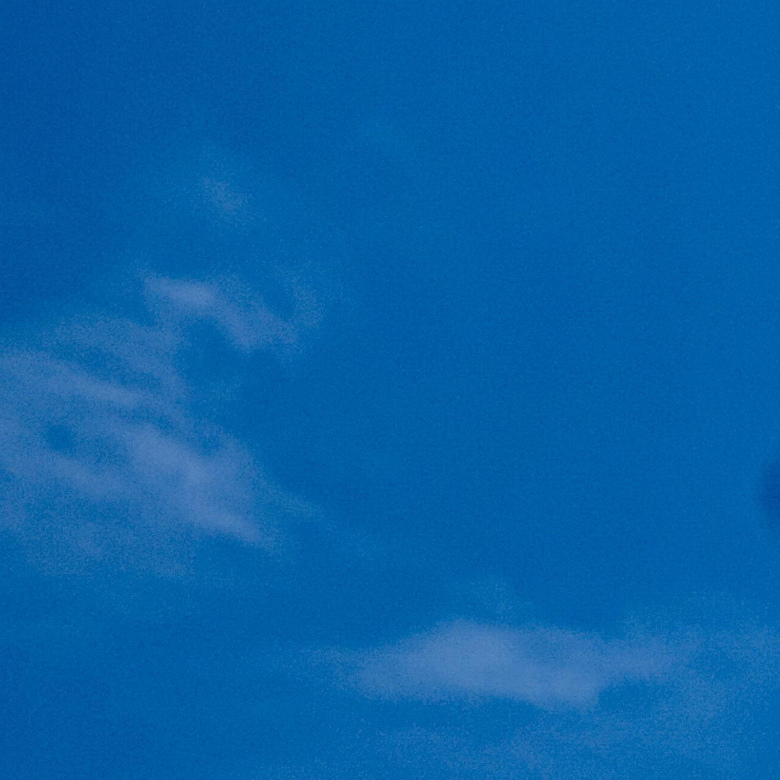 ポップに孤独で专辑