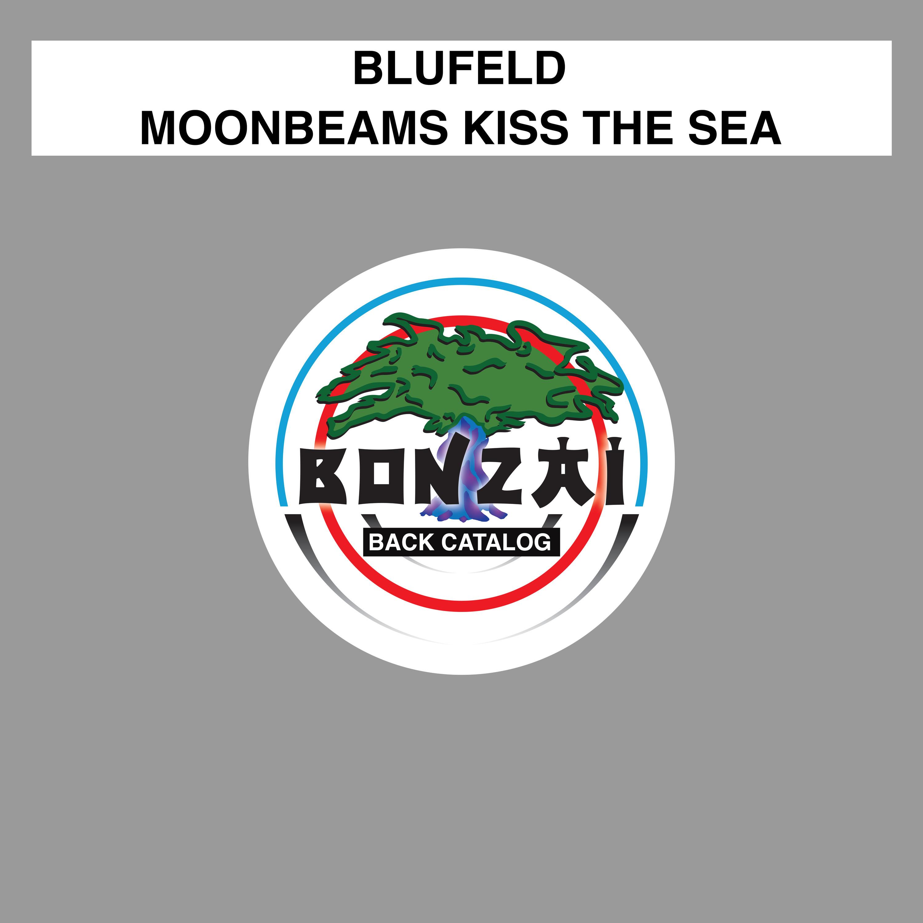 Moonbeams Kiss The Sea
