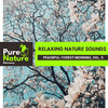 Nature Love Line Library - Exhilarating Sounds of Rain Droplets