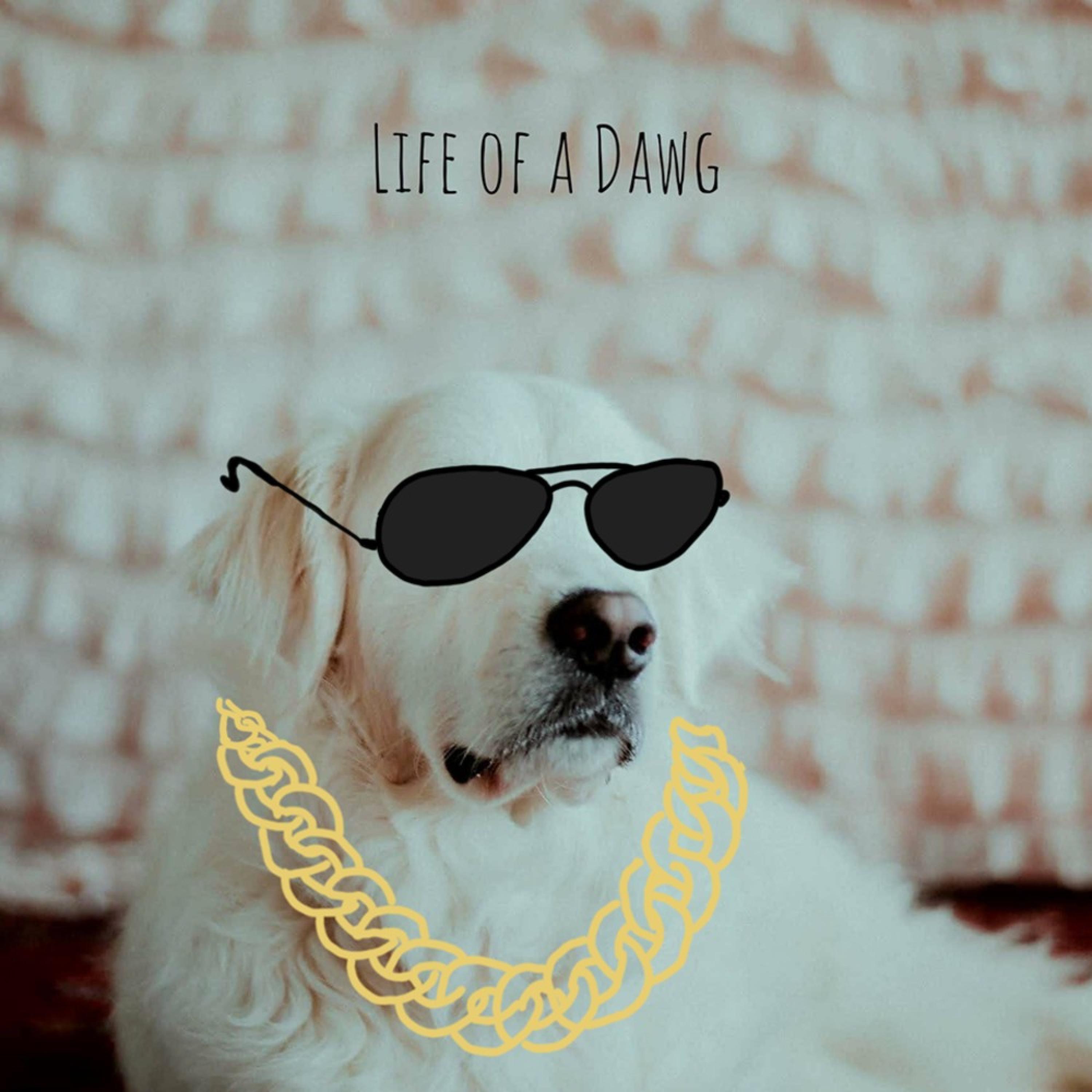 Life of a Dawg