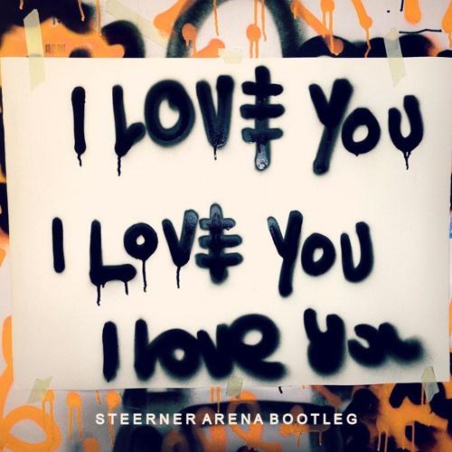 I Love You (Steerner Arena Bootleg)专辑