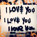 I Love You (Steerner Arena Bootleg)专辑