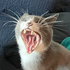 ampoff