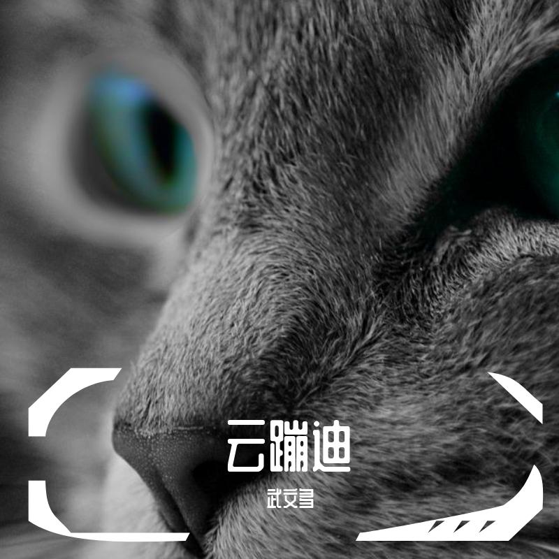 云蹦迪