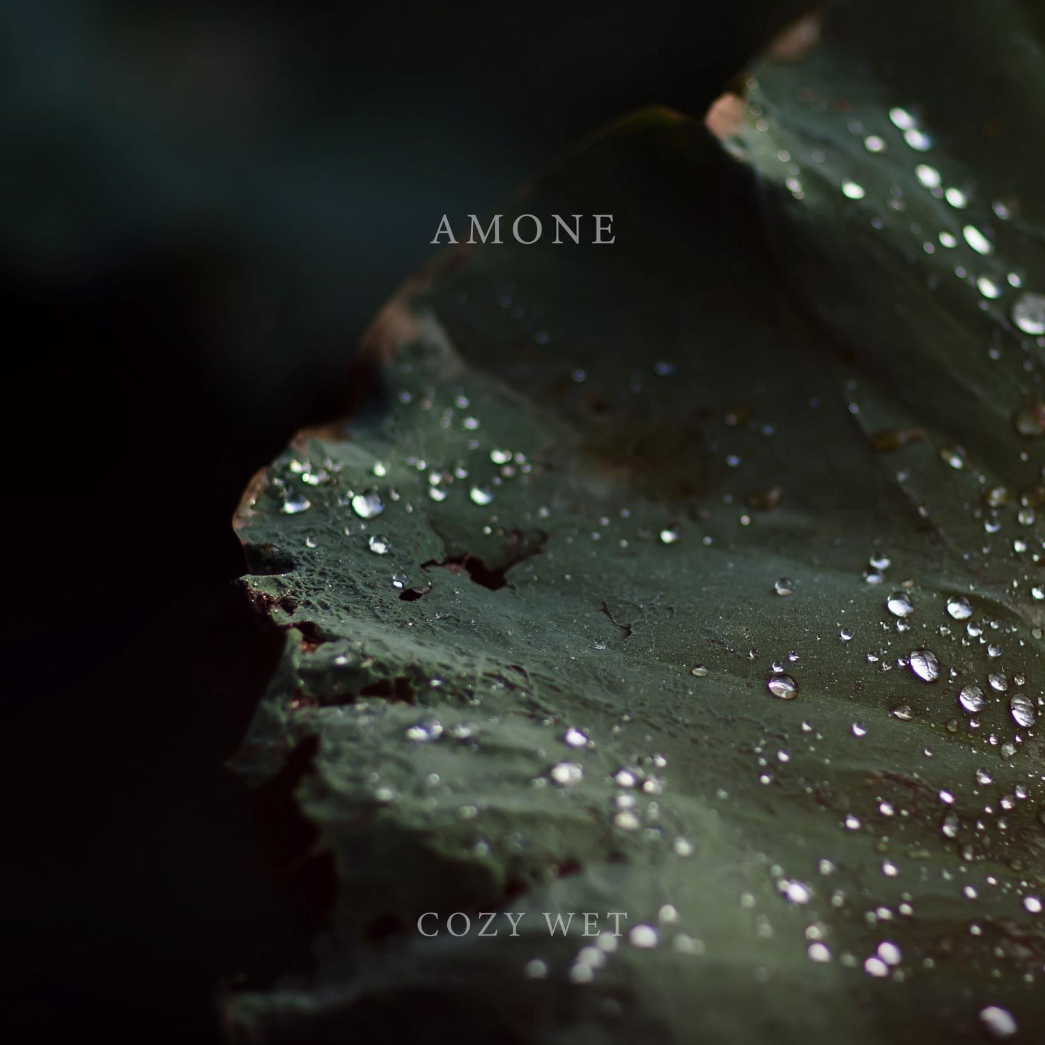 Amone - Cozy Wet