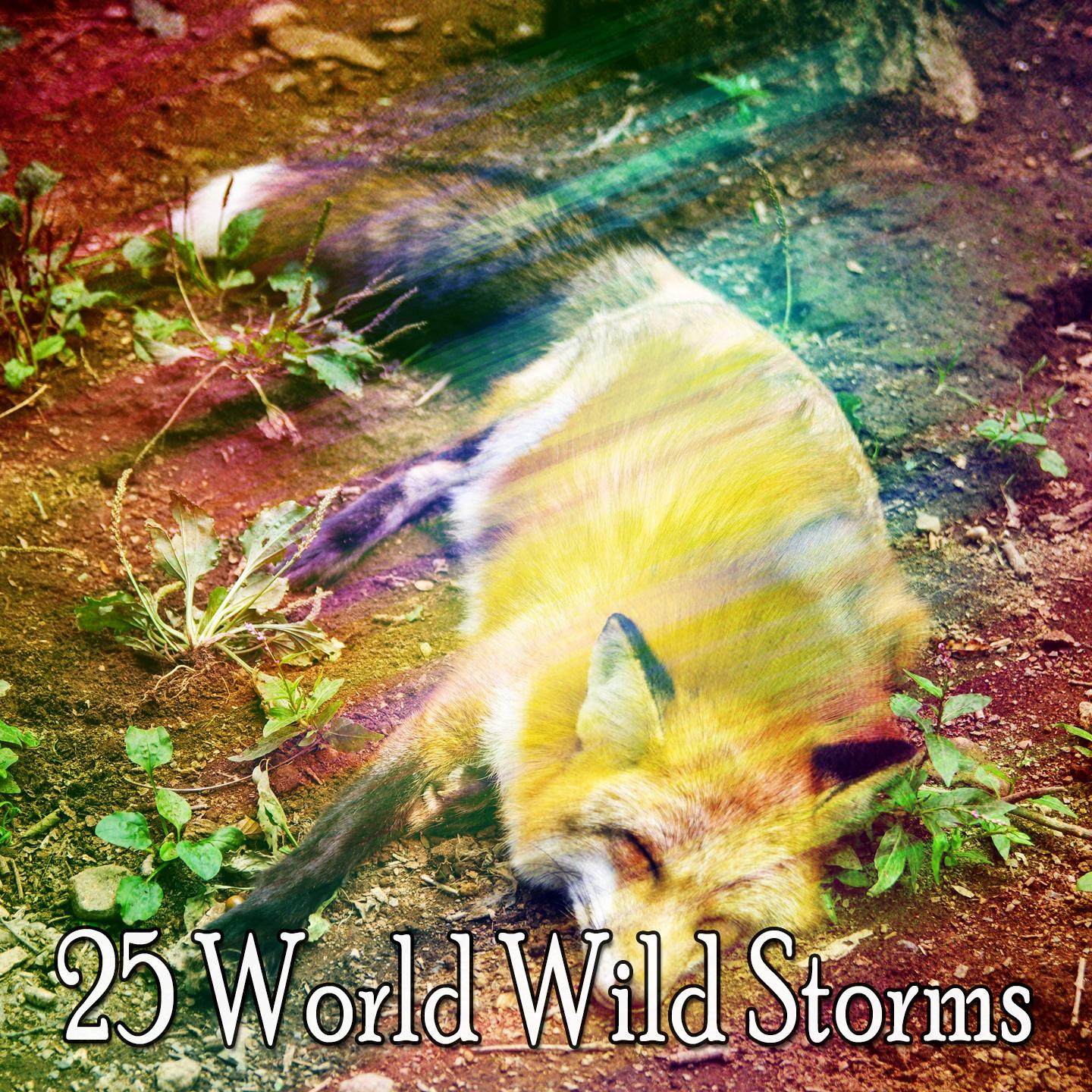 25 World Wild Storms专辑