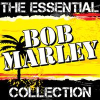 Soul Rebel - The Wailers & Bob Marley ( Instrumental )