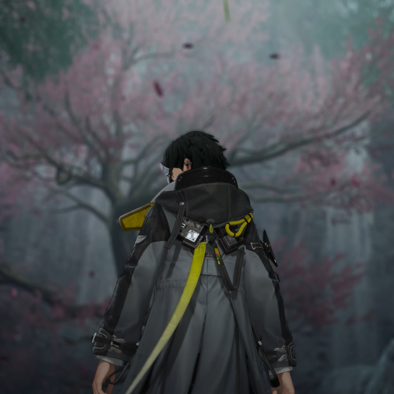 都带走