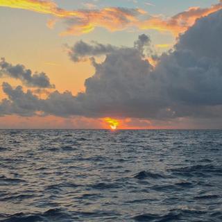 對 你 說 一 世 情 話