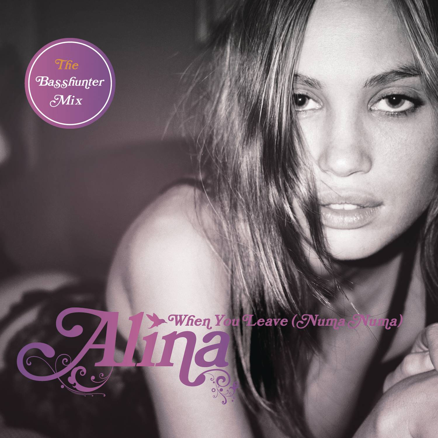 When You Leave (Numa Numa) (Jason Nevins Extended Instrumental)