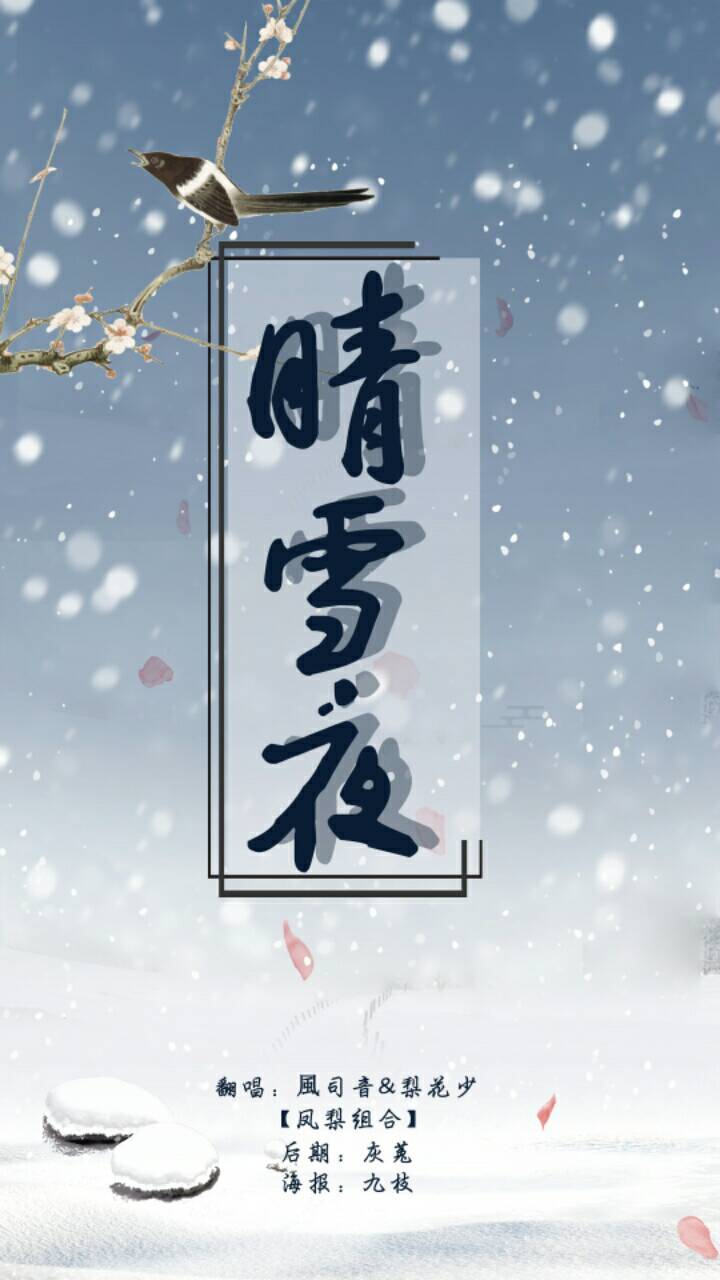 凤梨组合
