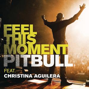Feel This Moment - Pitbull & Christina Aguilera (SE karaoke) 带和声伴奏 （升6半音）