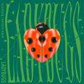 Ladybugs