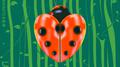 Ladybugs专辑