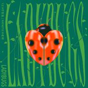 Ladybugs