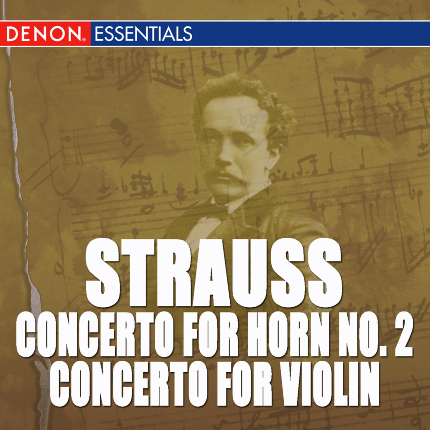 Concerto for Violin and Orchestra in D Minor, Op. 8: II. Lento