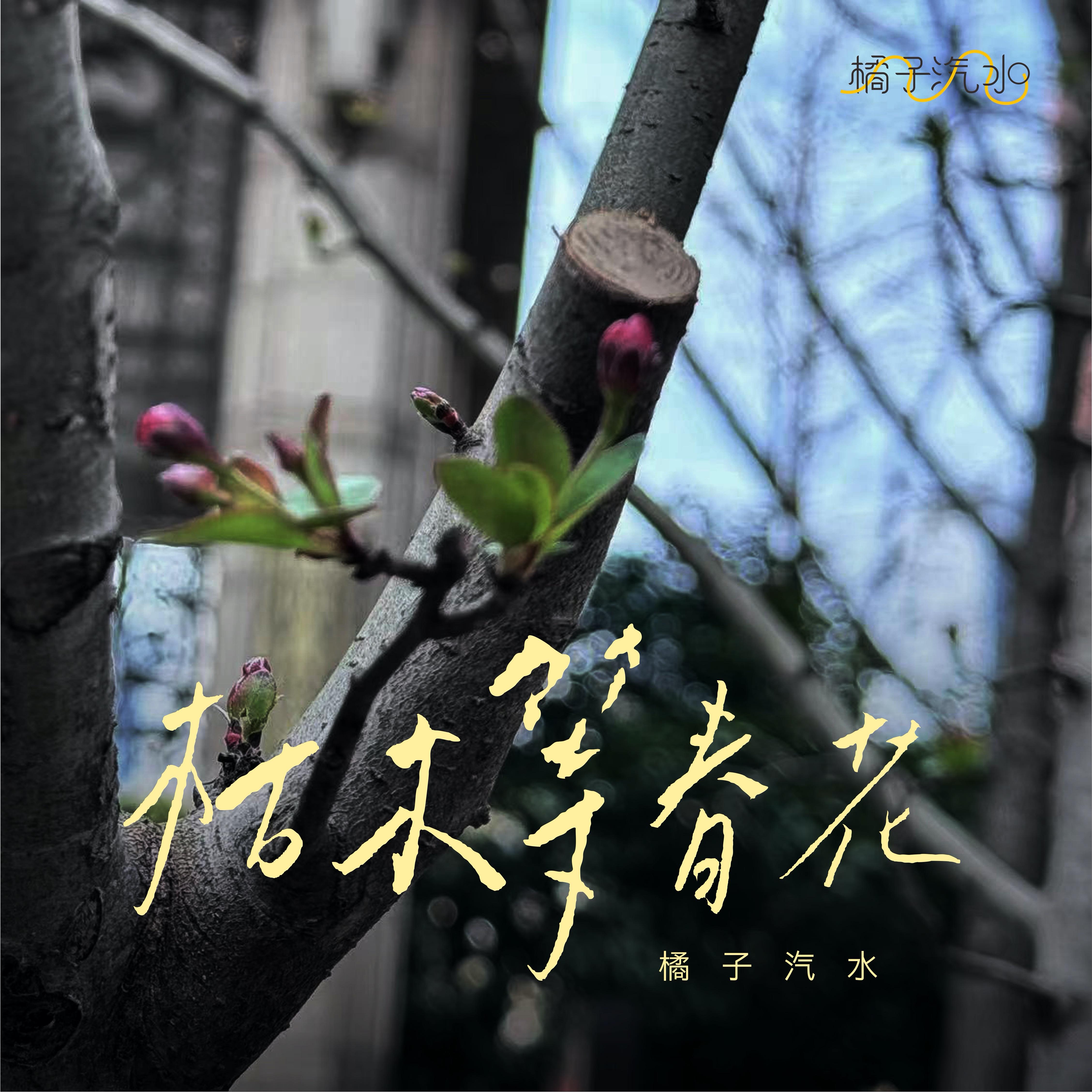 枯木等春花