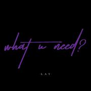 what U need?