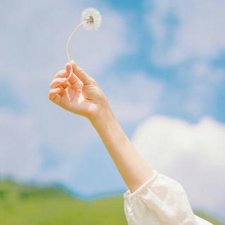 『韩语治愈』“八月，我把自己藏进花里”
